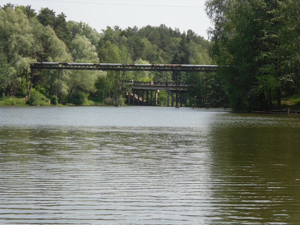 Вид на мост