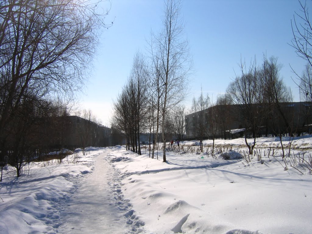 Около школы №2
