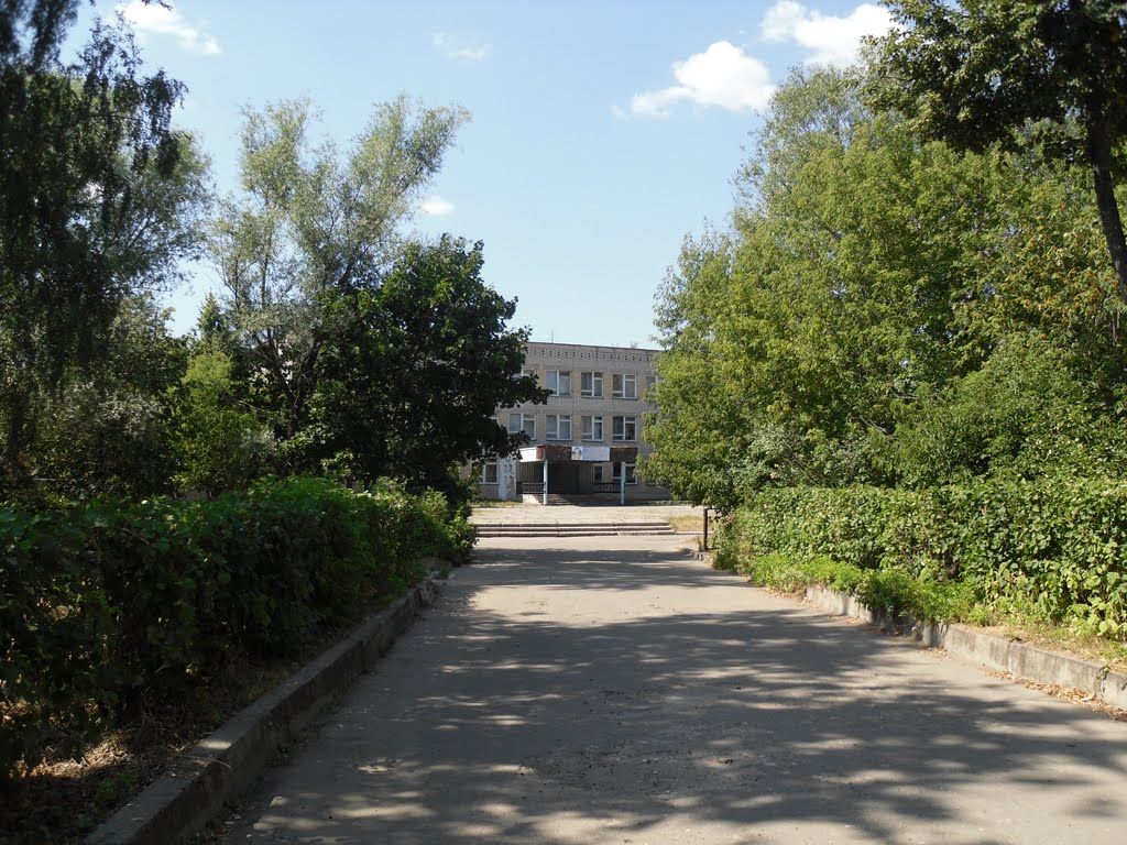 Дорога к школе №2