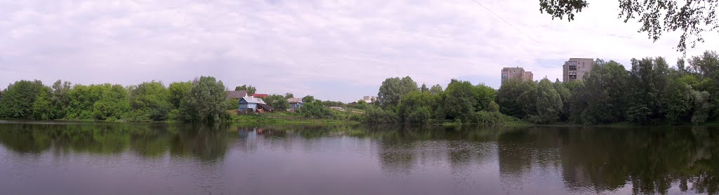 Панорама вербовского пруда