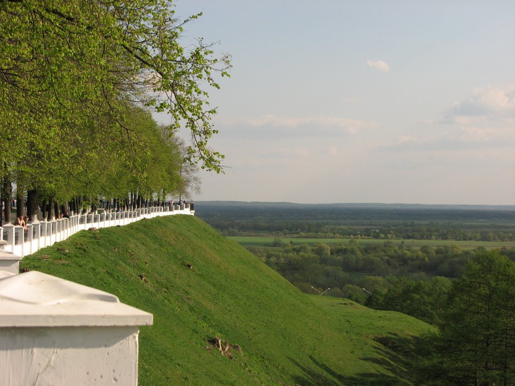 Вид (A View)