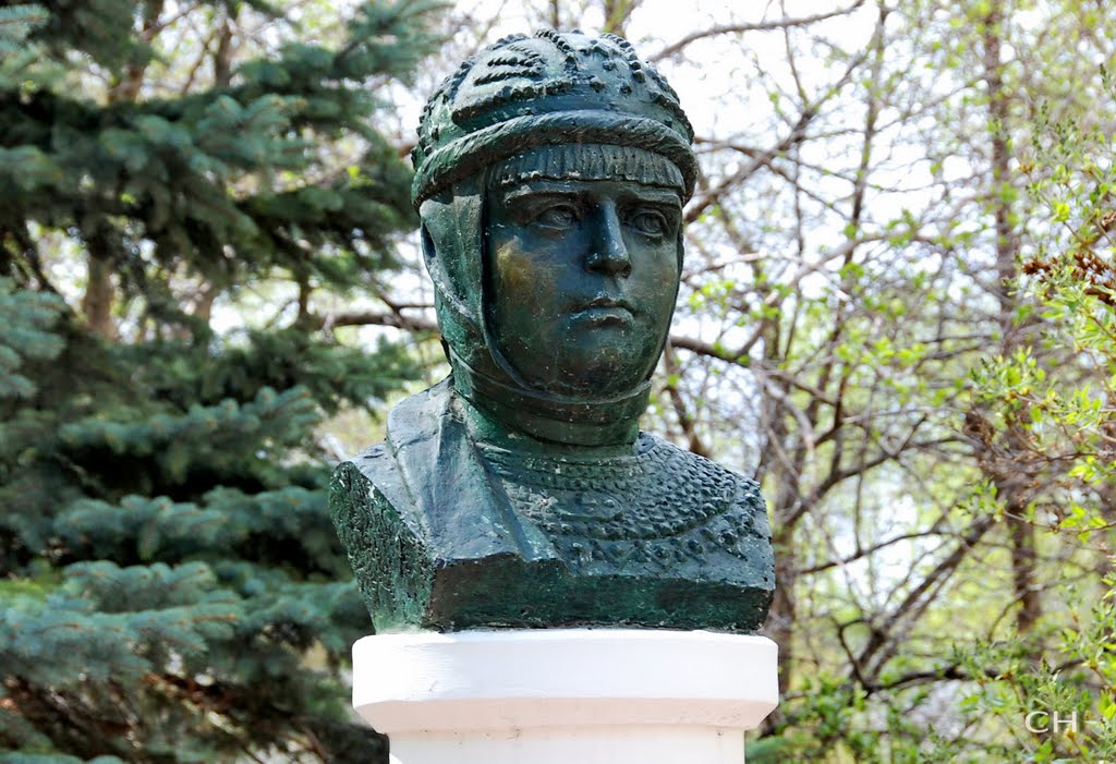 Владимир. Княгиня Ольга