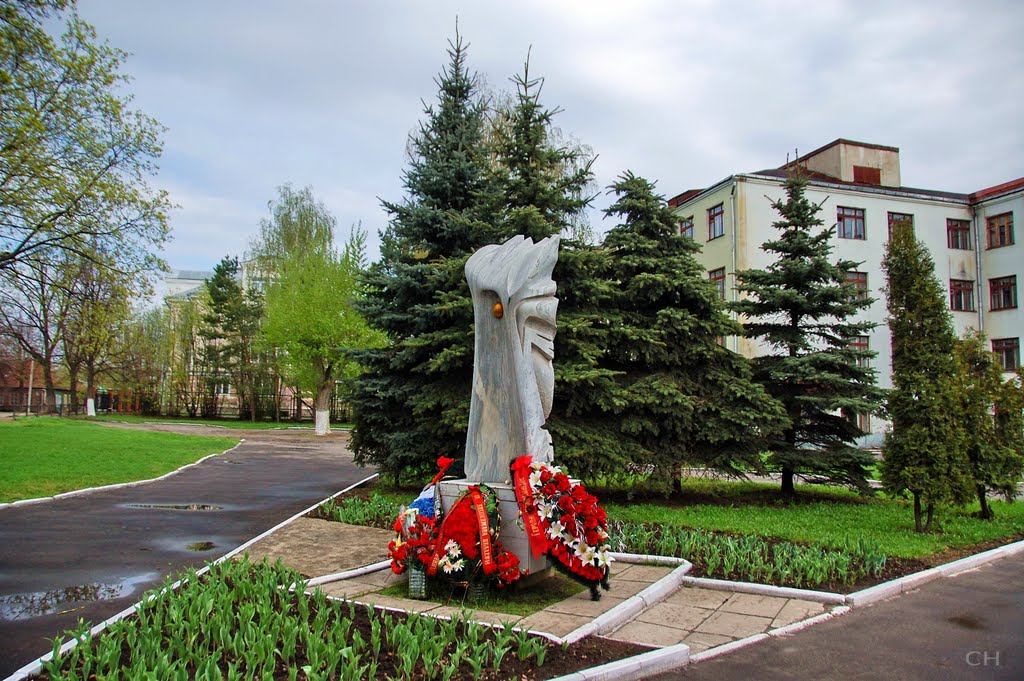 Владимир. Крылья (в честь ликвидаторов чернобыльской катастрофы )