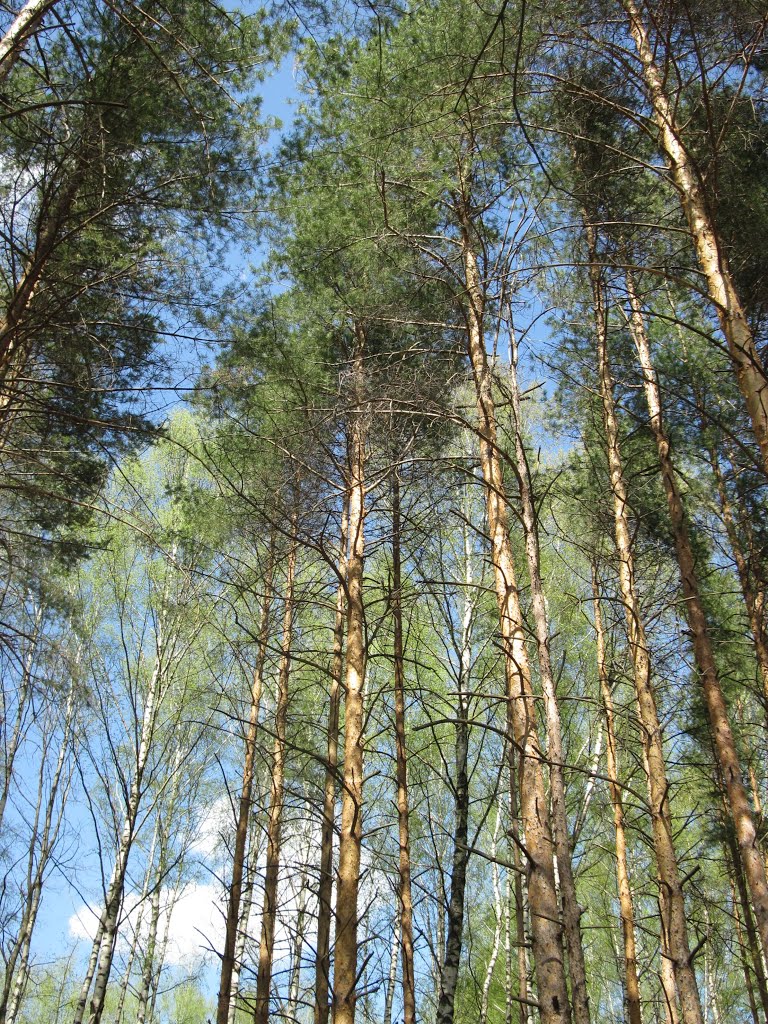 парк Культуры