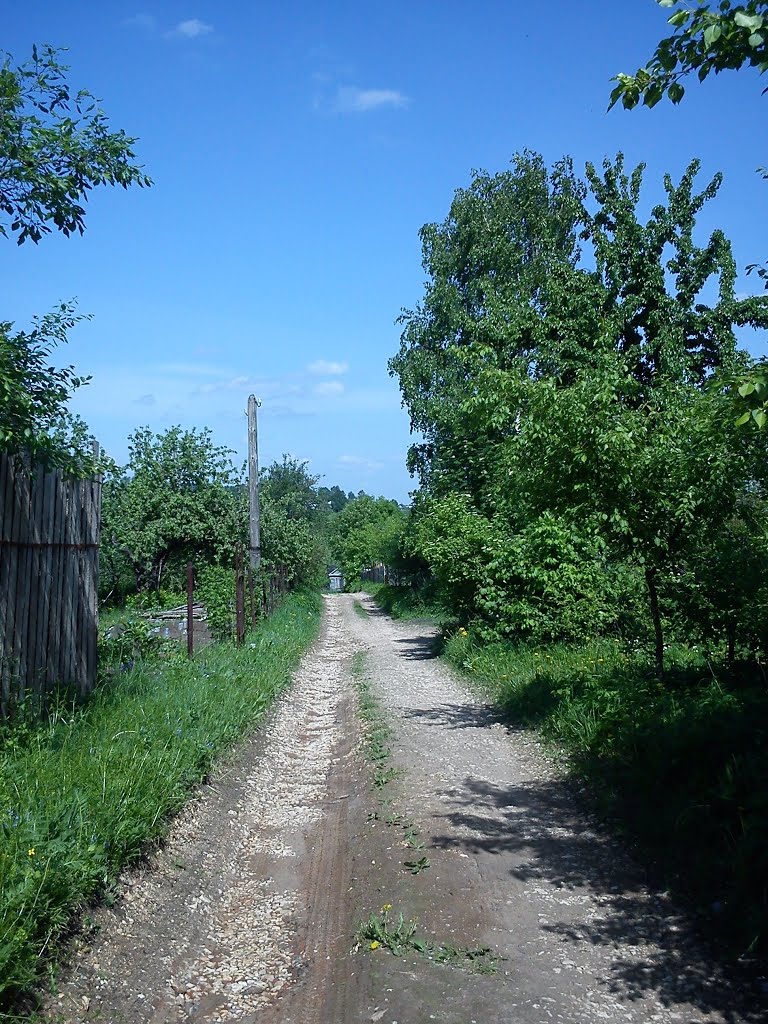 дачи