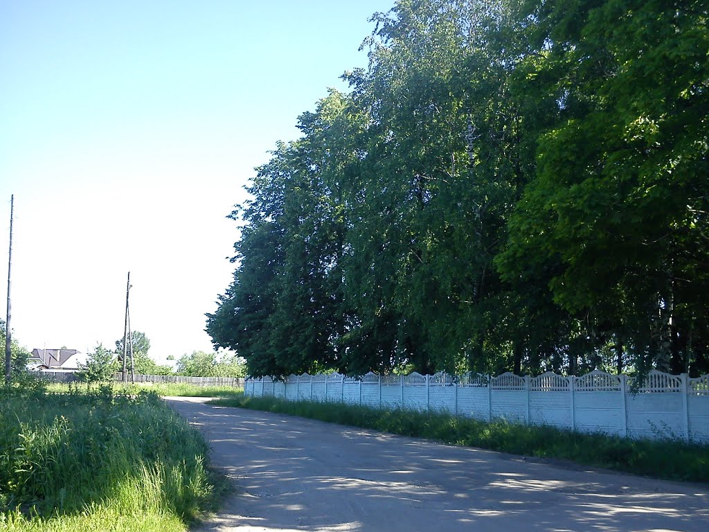 тихая улица