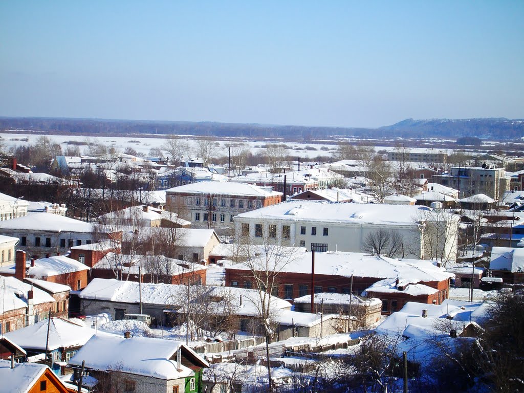 вид из летнего парка