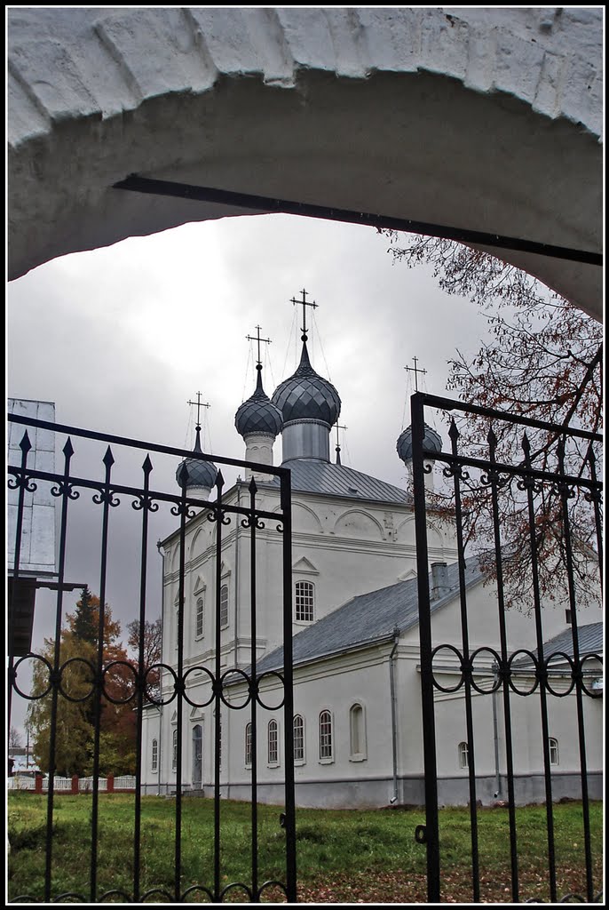 Вязники