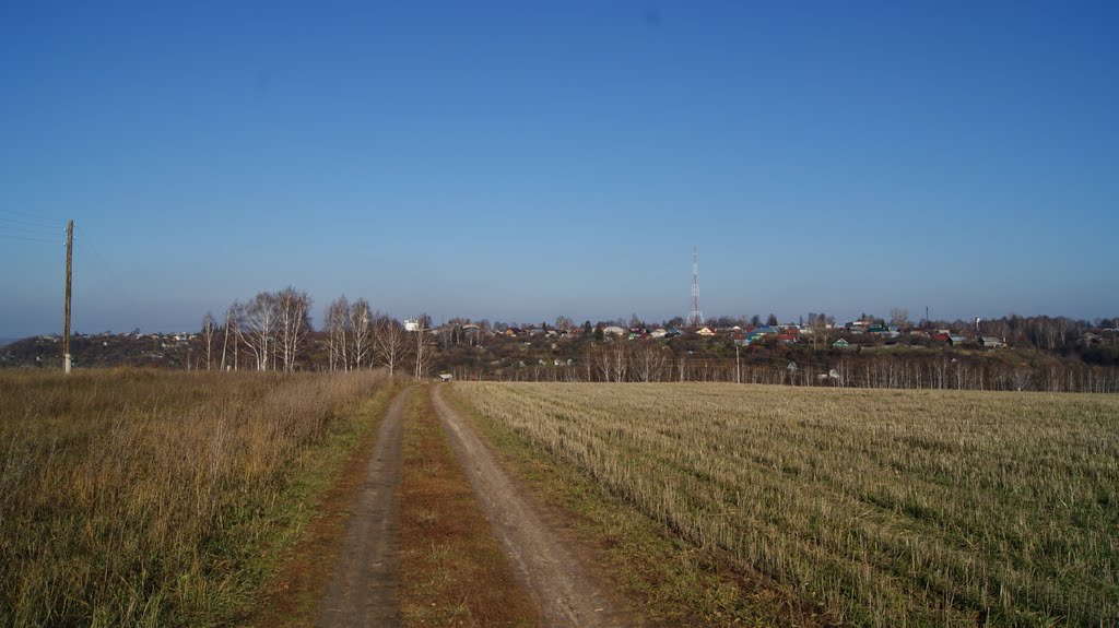 осень 2010