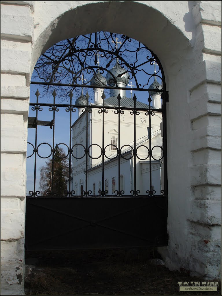 Троицкая церковь. г. Вязники. Владимирская обл. Россия. Апрель 2010 г.