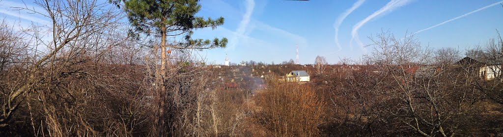 Вязники