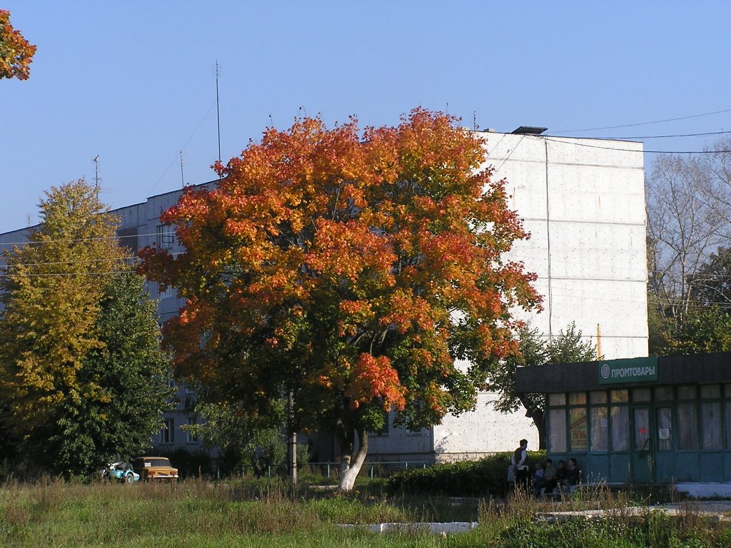 Осень в Городищах