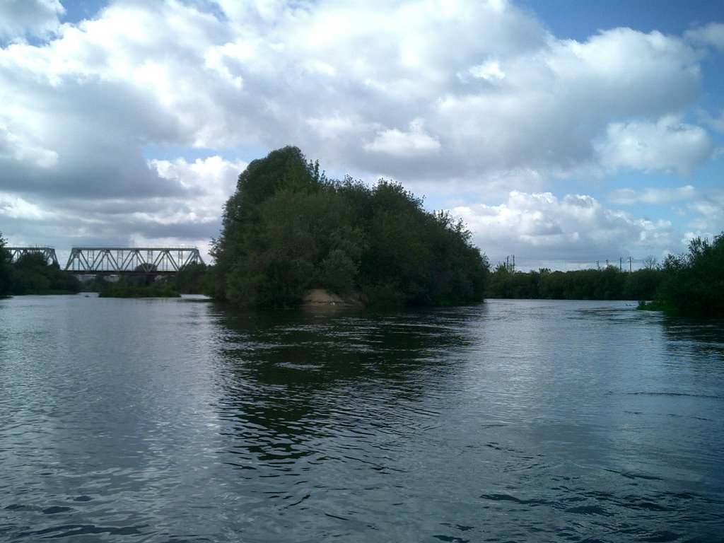 Kind on the bridge, from the river Kljazma