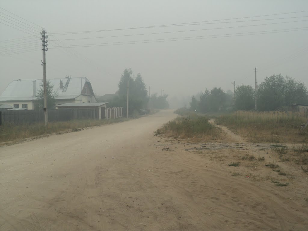 Молодино в дыму