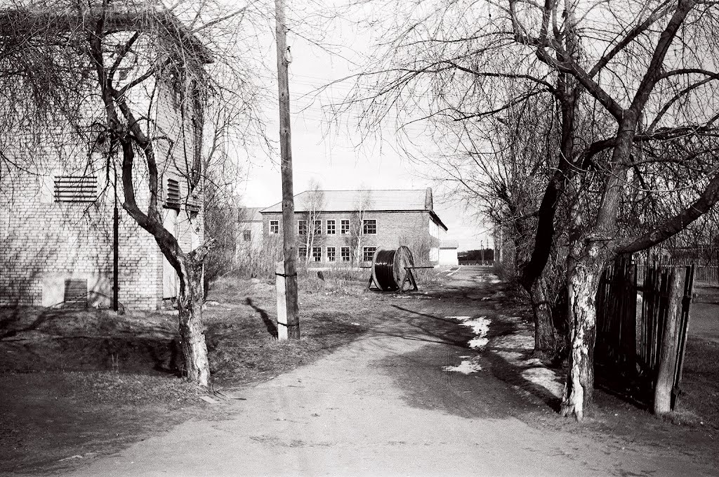 Школа 1982г.