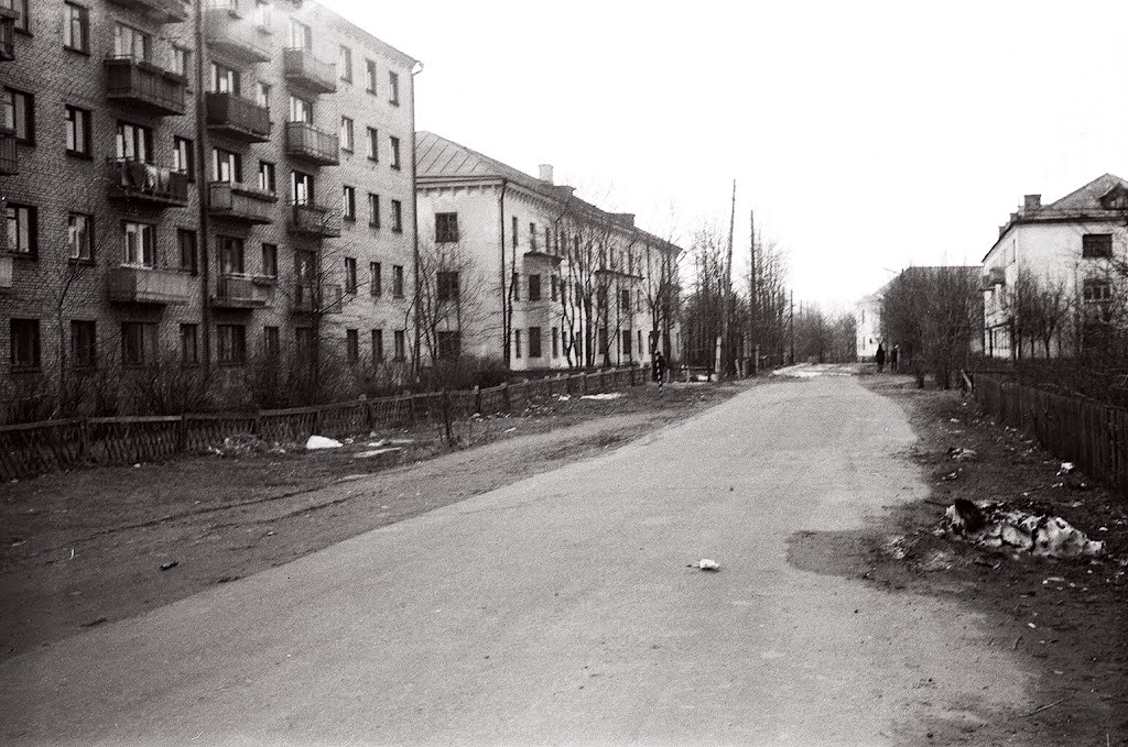 Городищи 1982 г.
