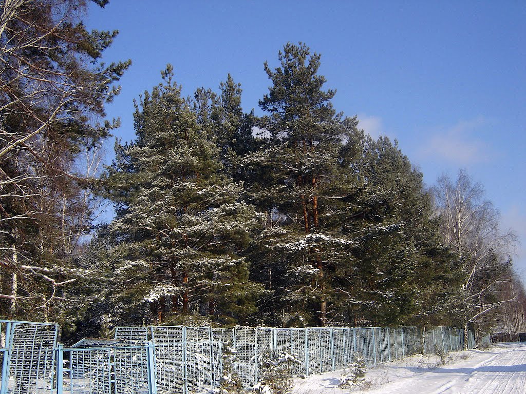 Турбаза "Сплав"