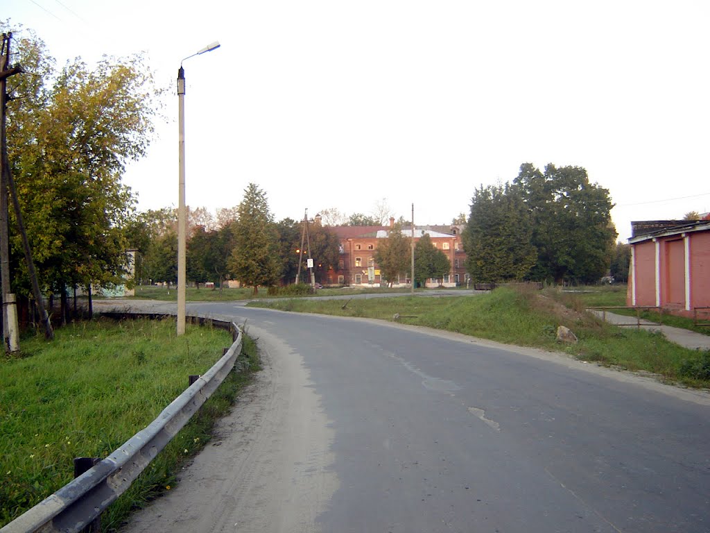 Дорога на пгт. Городищи