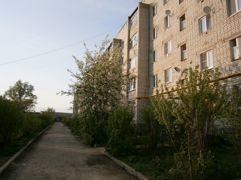 Весна в Усаде
