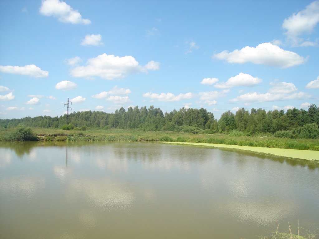 Лесное озеро