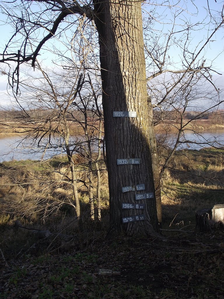 Уровень Клязьмы