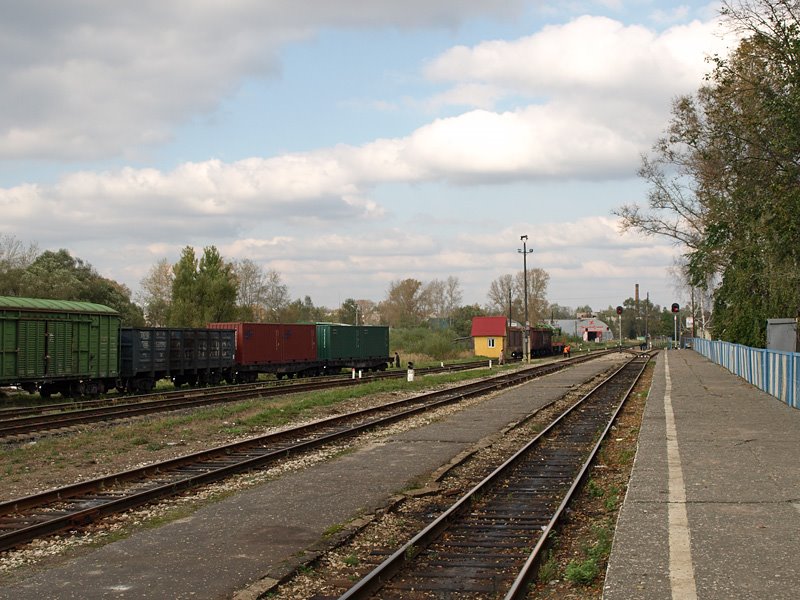 Gus-Khrustalniy station