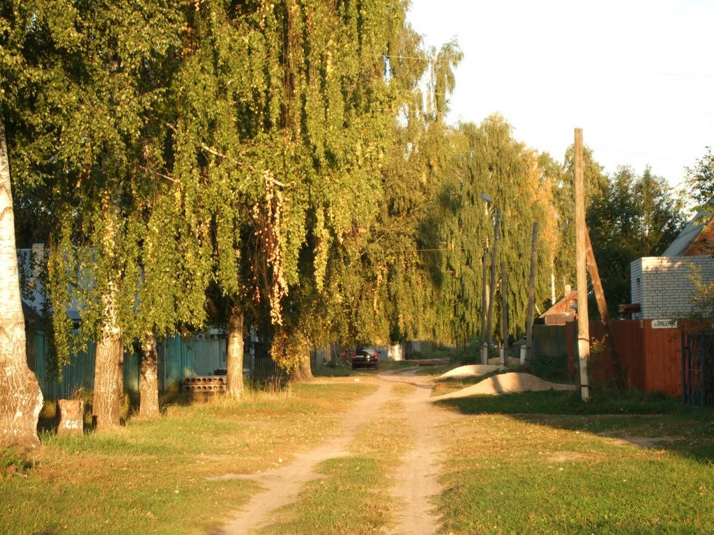 1ый речной пер. в сторону ул. набережной