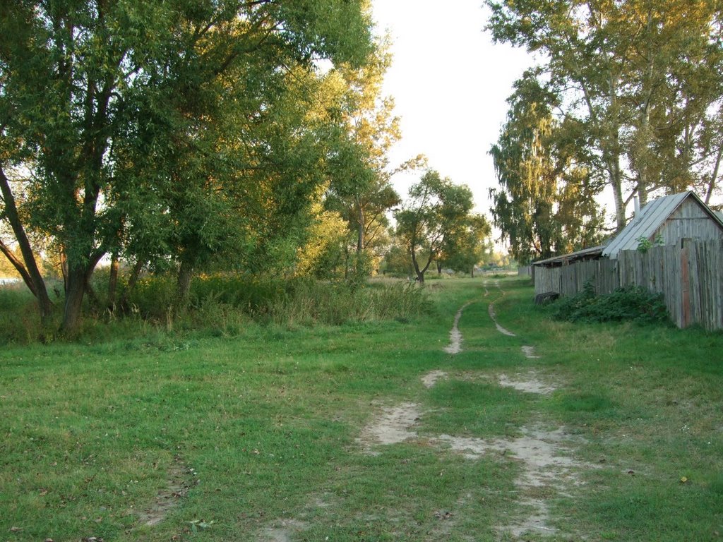 дорога от 1го речного пер. на купальное место