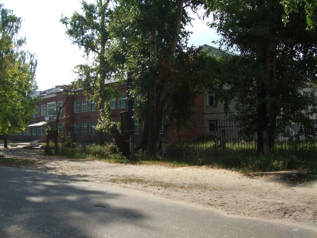 школа 15