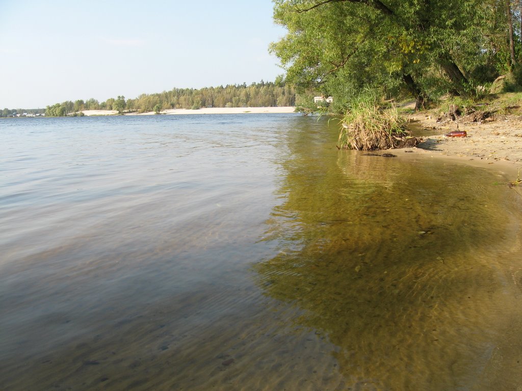 Сплошная гладь