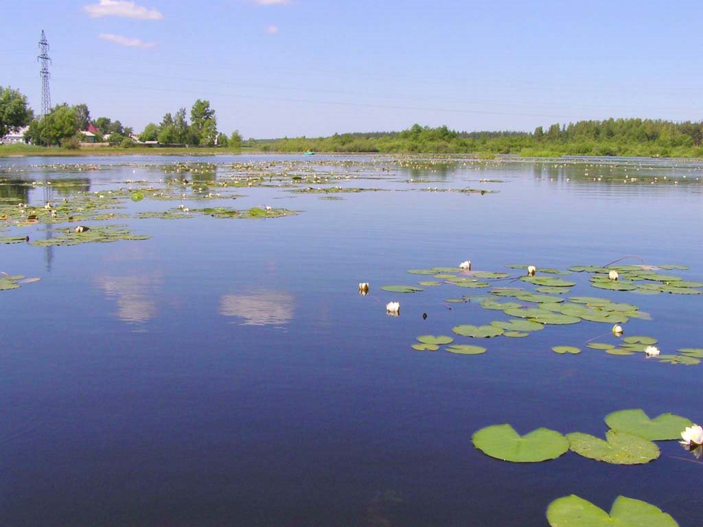 озеро в г.Гусь-Хрустальный