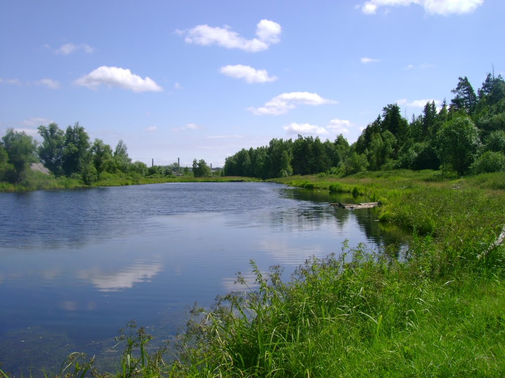 широкий 07.2009г.