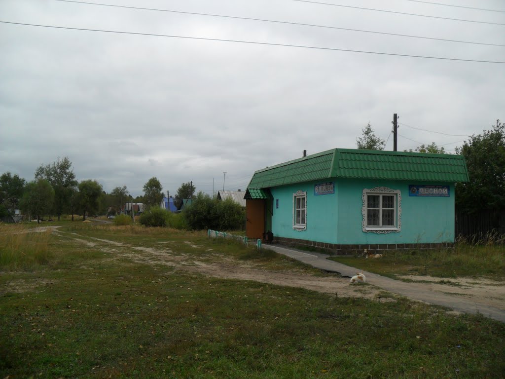 магазин Лесной