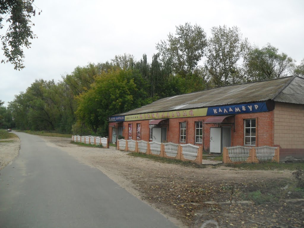 КАЛАМБУР