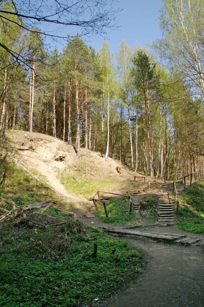 ЗАТО Радужный. Тропинки в лесу.