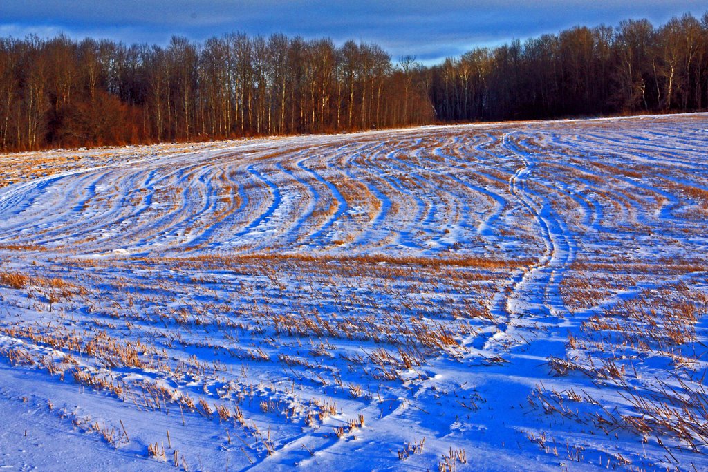 Very cold winter evening near Suzdal Russia