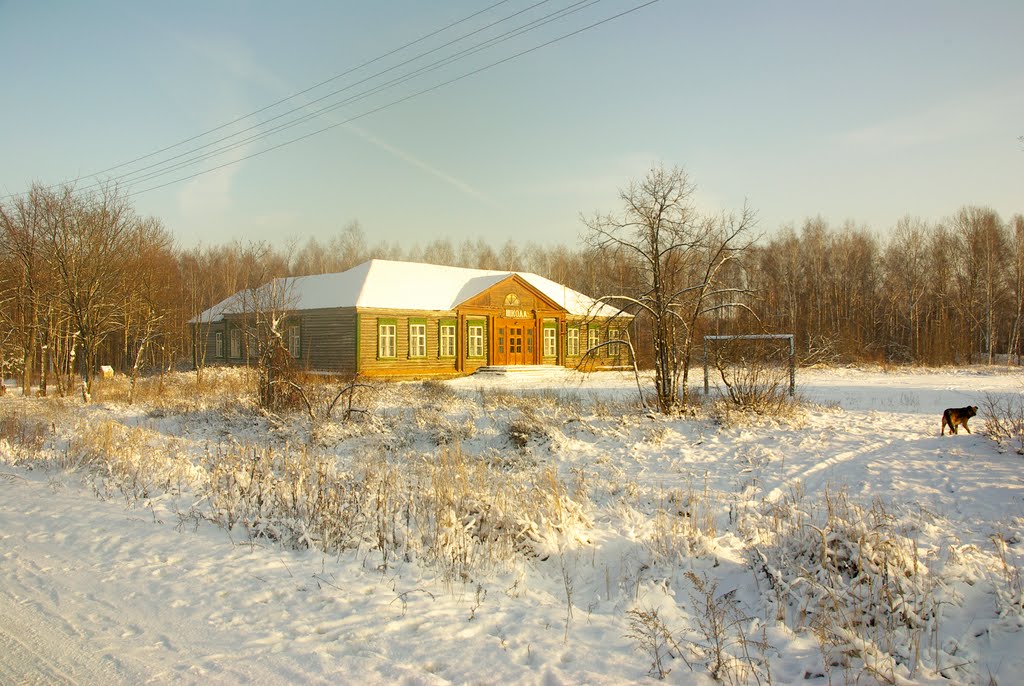Школа в Метенино