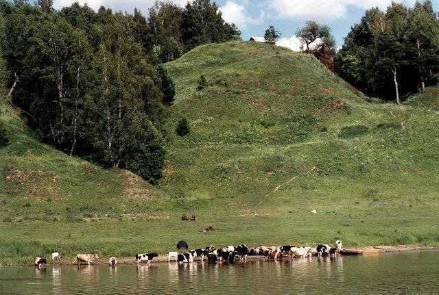 Перхурово / Perkhurovo