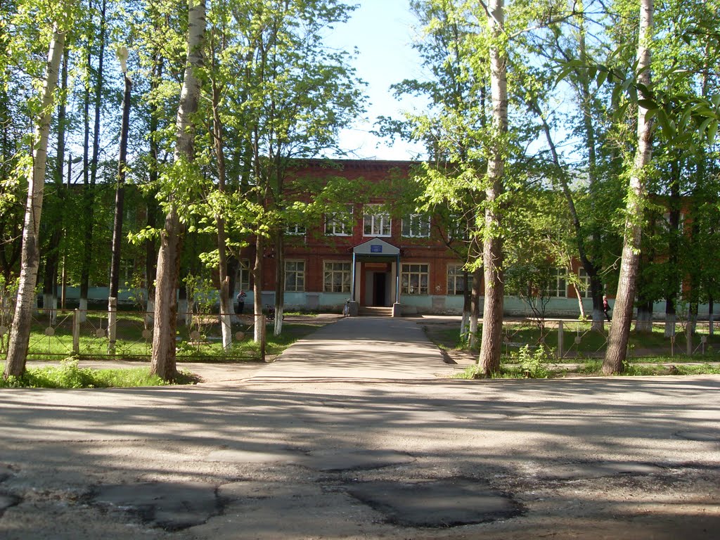 Novki