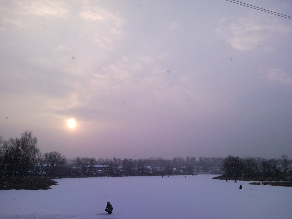 Кривуля зимой