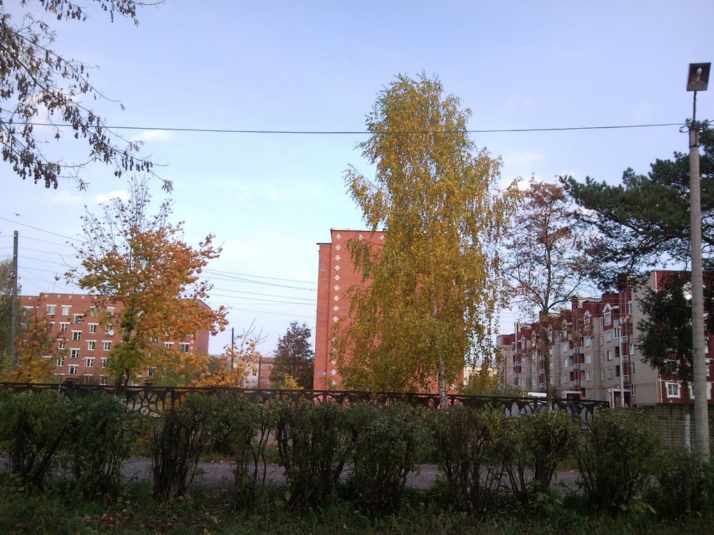 ул.Совхозная