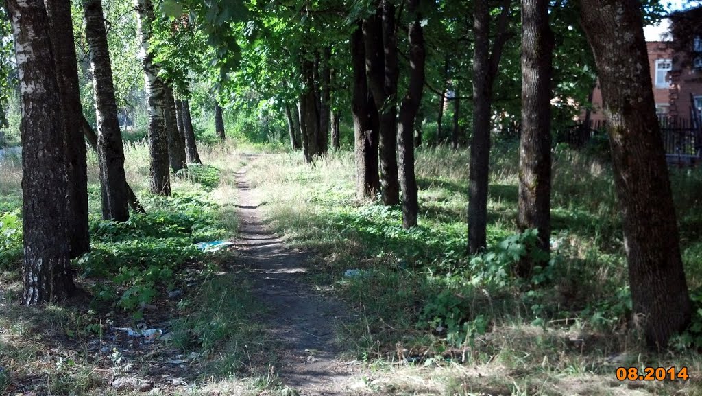 Лесная грунтовка