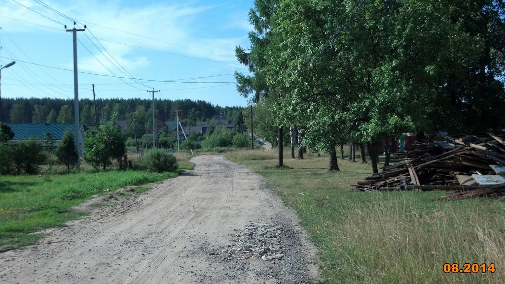 Поселковая дорога