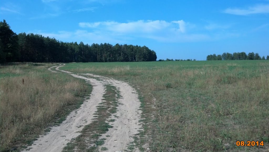 Полевая грунтовка