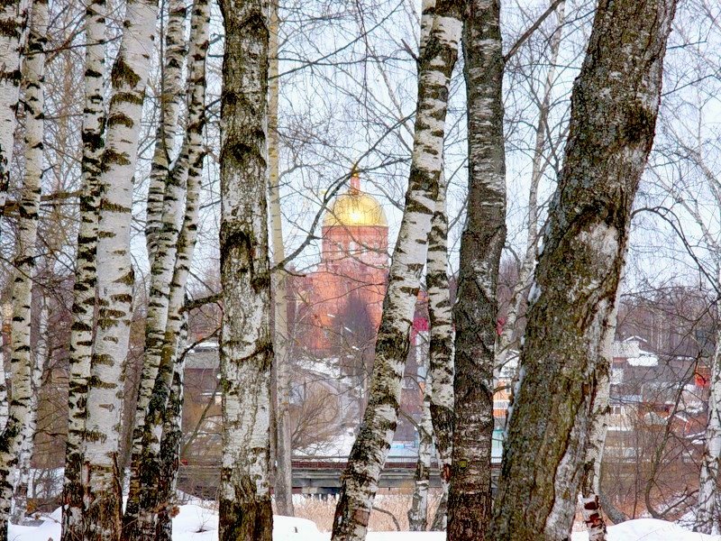 Среди берез...