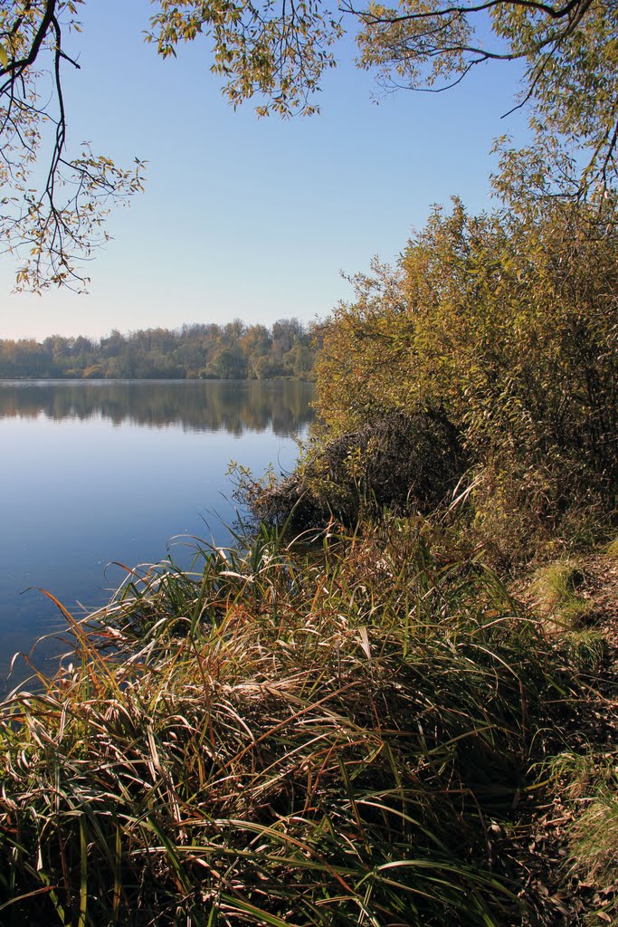 Karabanovo