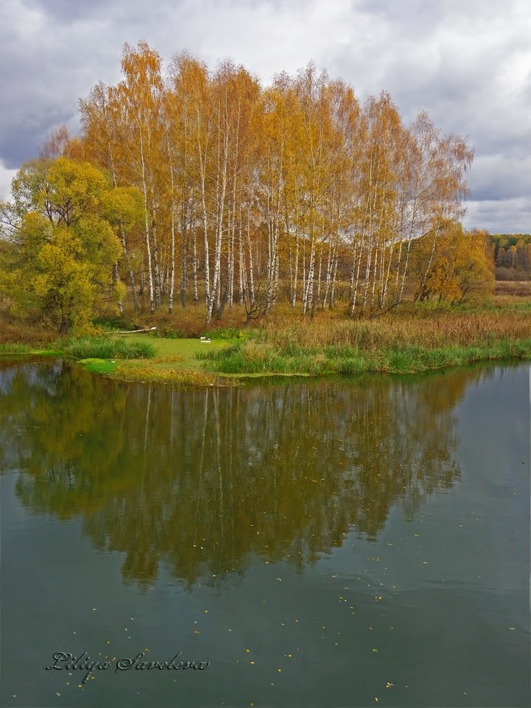 Осень на Серой