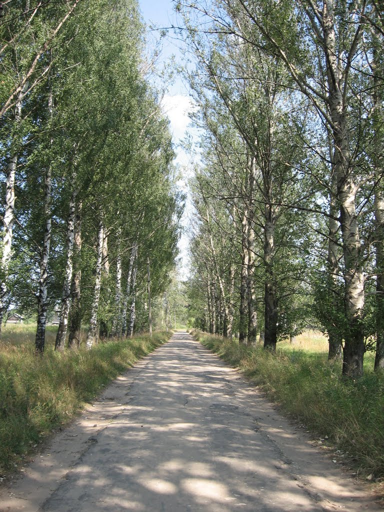 Аллея