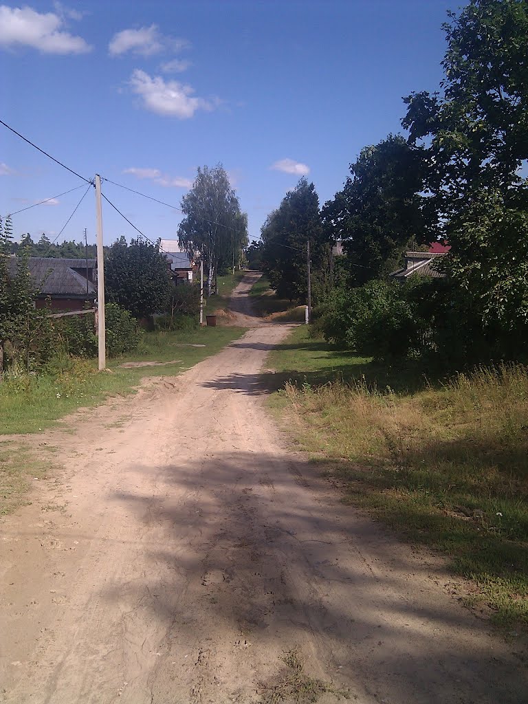 ул. Гагарина. Далеко не ровная улица. август 2012