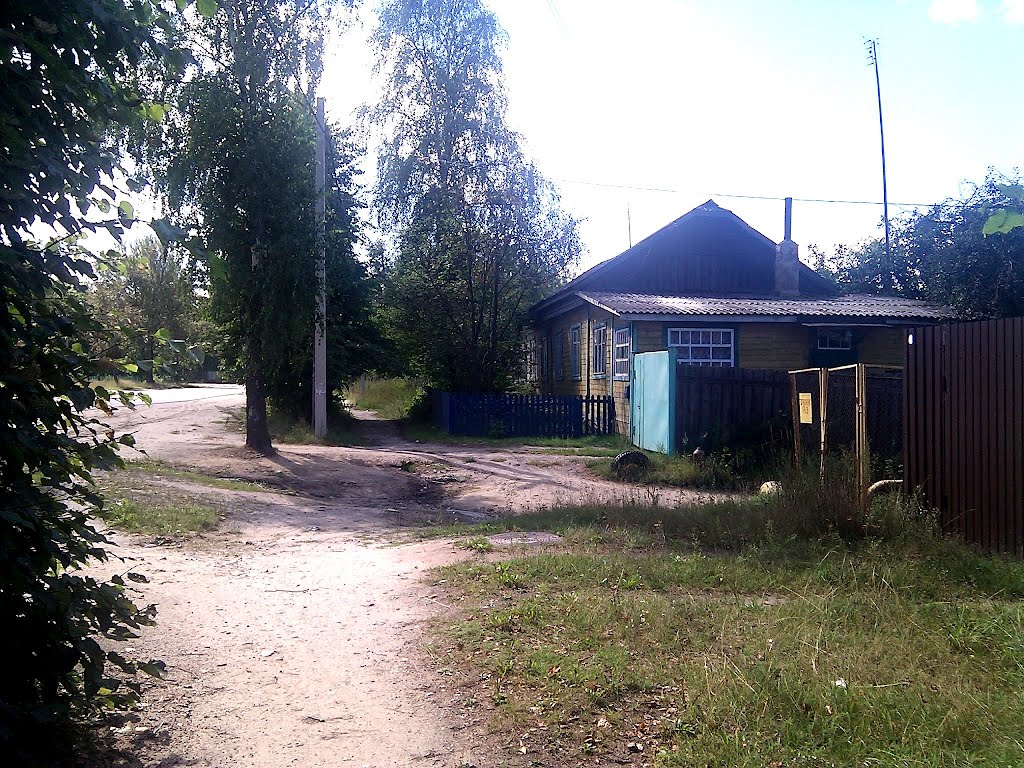 пешеходная дорожка на Ленинградской улице, август 2012